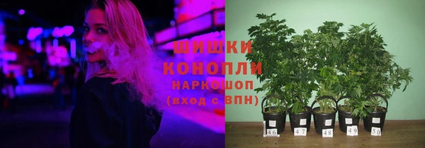 ПСИЛОЦИБИНОВЫЕ ГРИБЫ Володарск