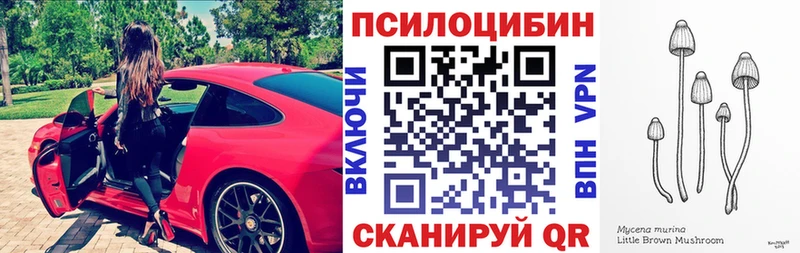 Купить закладки  Малая Вишера  Псилоцибиновые грибы GOLDEN TEACHER 